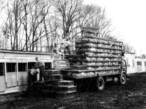 Tri Gas & Oil Co., Inc Poultry Trailer in Federalsburg